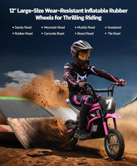 ELEMARA Electric Dirt Bike